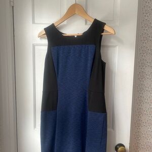 Ann Taylor Sheath Dress size 6P